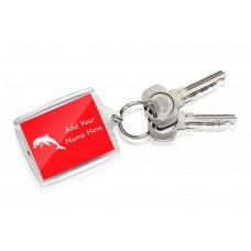 NRL Dolphins Keyring