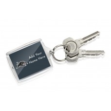 NRL Panthers Keyring