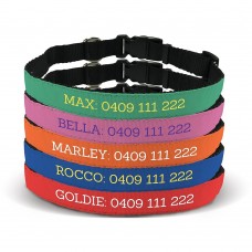 Standard Pet Collar