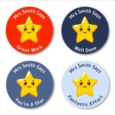 Star Teacher Stickers