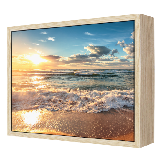 Framed Canvas Prints